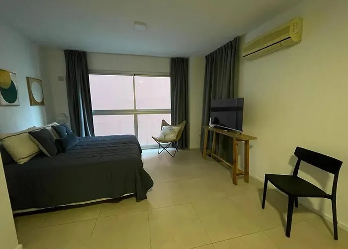 Departamento En Recoleta Con Pileta