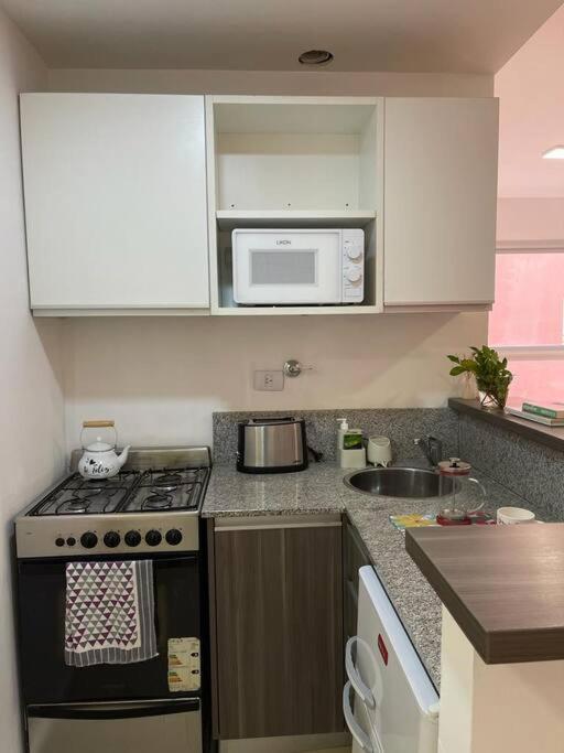 Departamento En Recoleta Con Pileta Apartment Buenos Aires